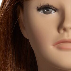 L'Image Szemléltetőfej Sabine 1305W